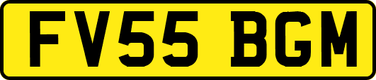 FV55BGM