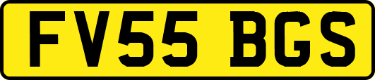 FV55BGS