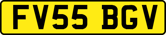 FV55BGV