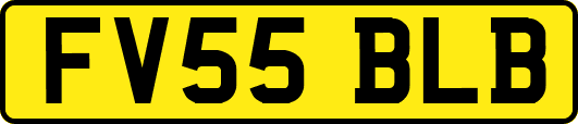 FV55BLB