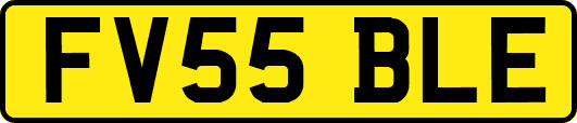 FV55BLE