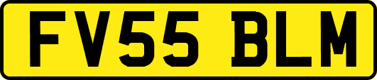 FV55BLM