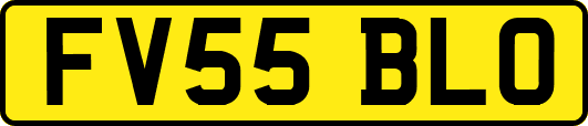 FV55BLO