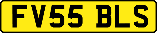 FV55BLS
