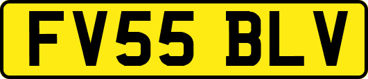 FV55BLV