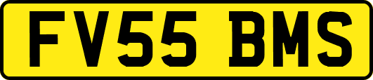 FV55BMS