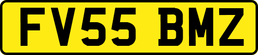 FV55BMZ