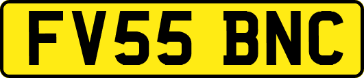 FV55BNC