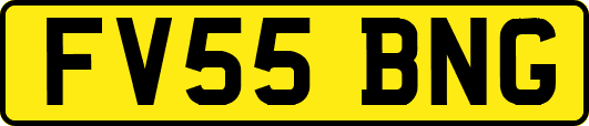 FV55BNG