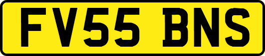 FV55BNS