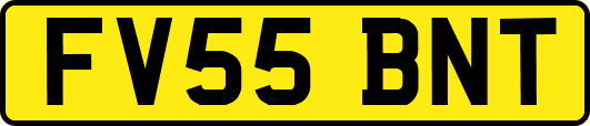 FV55BNT