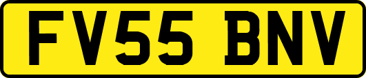 FV55BNV