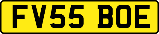 FV55BOE