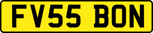 FV55BON