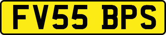FV55BPS