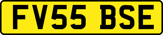 FV55BSE