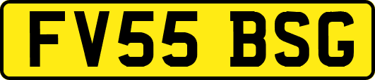 FV55BSG