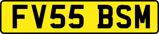 FV55BSM