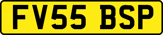 FV55BSP