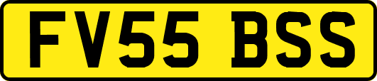 FV55BSS