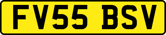 FV55BSV
