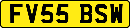 FV55BSW
