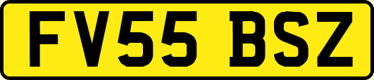 FV55BSZ