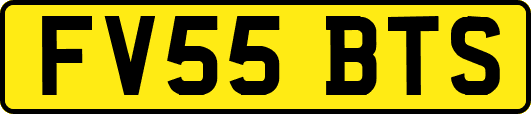 FV55BTS