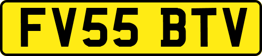 FV55BTV