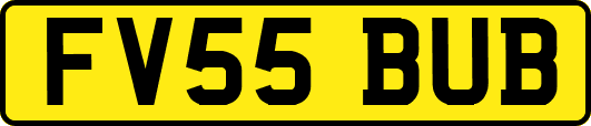 FV55BUB