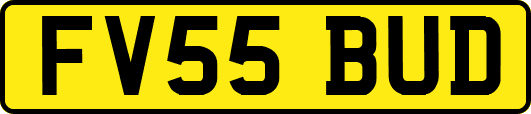 FV55BUD