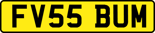 FV55BUM