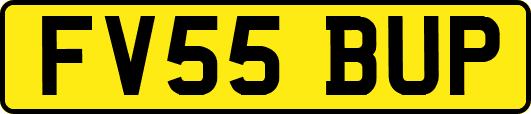 FV55BUP