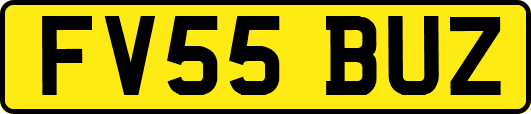 FV55BUZ