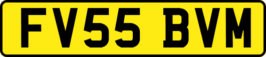 FV55BVM