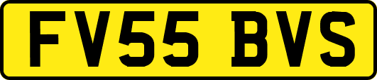 FV55BVS
