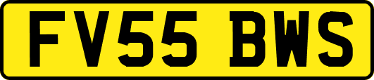 FV55BWS
