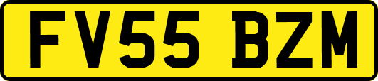 FV55BZM