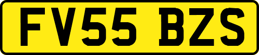 FV55BZS