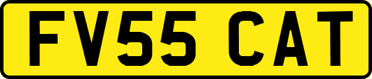 FV55CAT