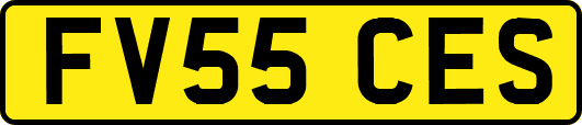 FV55CES