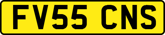 FV55CNS