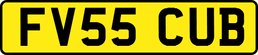 FV55CUB