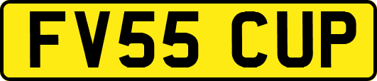 FV55CUP