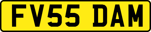 FV55DAM