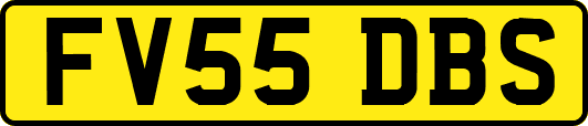 FV55DBS
