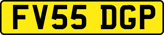 FV55DGP