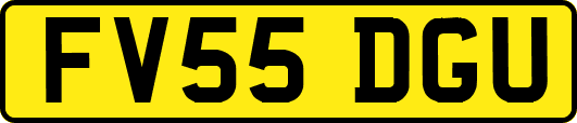 FV55DGU