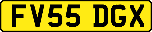 FV55DGX