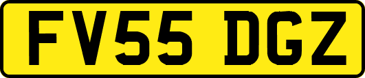 FV55DGZ